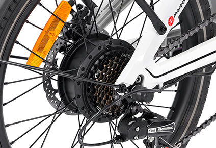 250W Brushless Motor