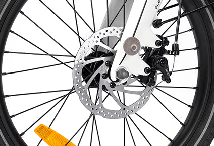 Dual Disc Brake
