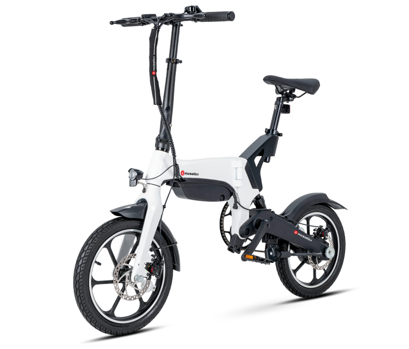 marsant's x Light-P2