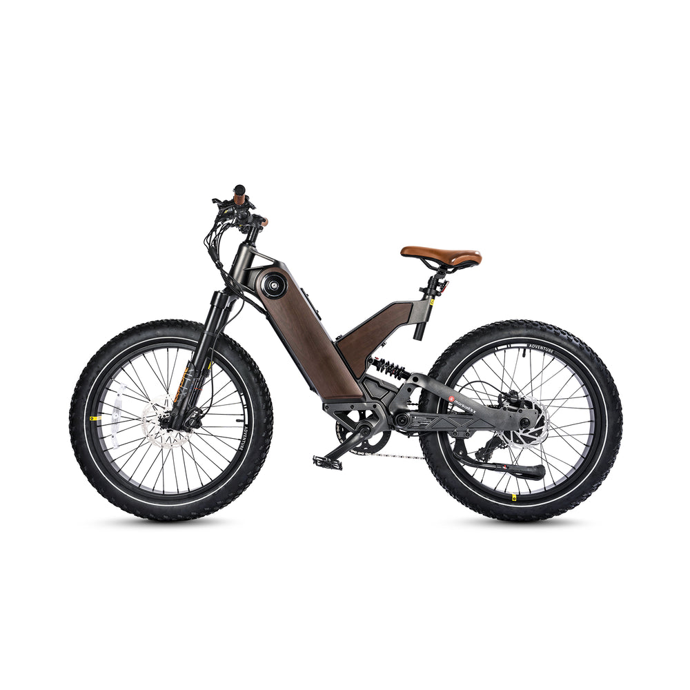 24インチファットタイヤ全地形脱着可能バッテリー電動自転車Ant5