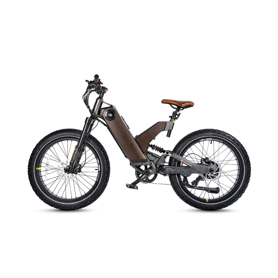 All Terrain 24*4.0 inch Fat Tire 750W 16AH Electric Mountain 24