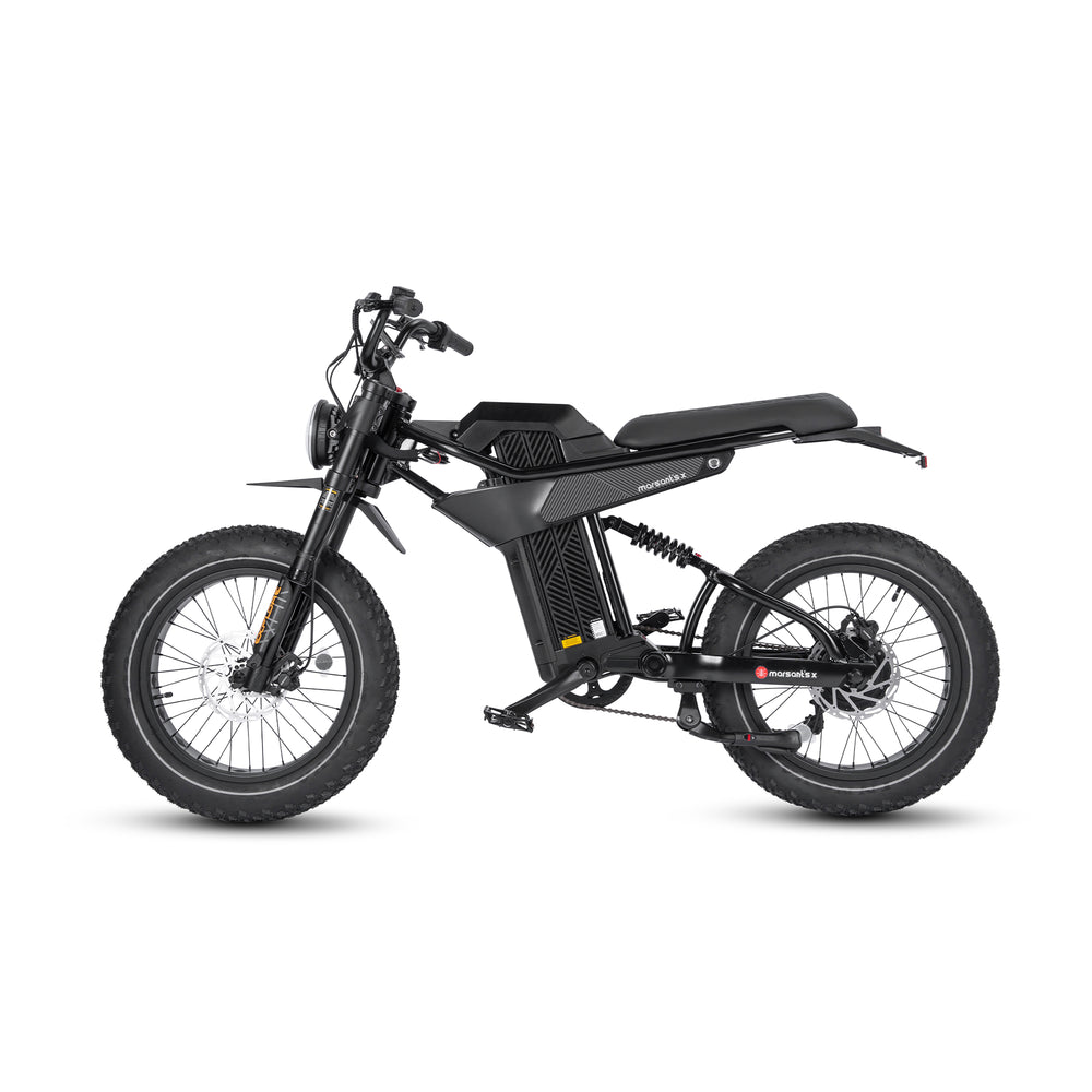 長距離20インチ*4ファットタイヤペダル付アシスト自転車Ant6