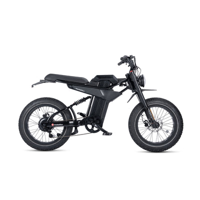 electric bikes for adults