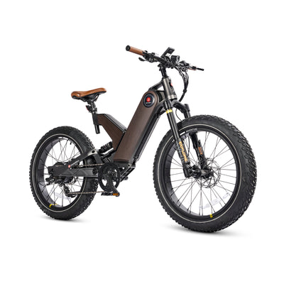 All Terrain Fat Tire Electric Hybrid Mountain Bikes
