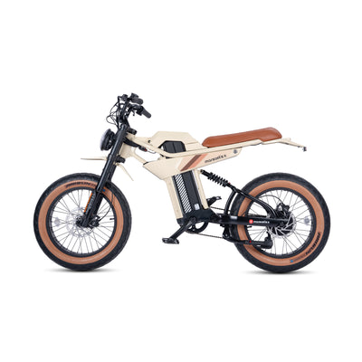 fat tire electric bike
