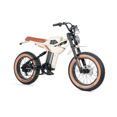 electric bikes for adults
