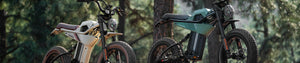 banner-ANT6