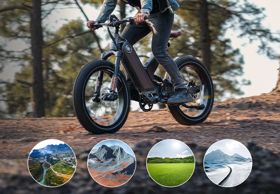 All Terrain 24*4.0 inch Fat Tire 750W 16AH Electric Mountain 24