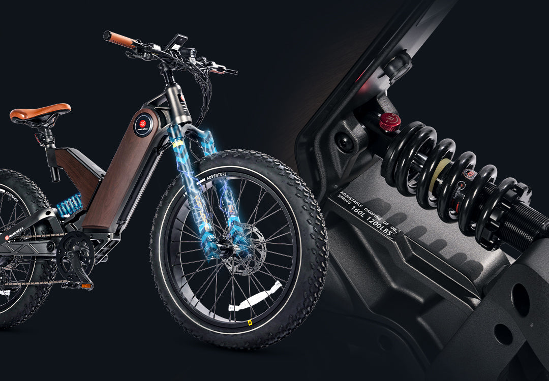 All Terrain 24*4.0 inch Fat Tire 750W 16AH Electric Mountain 24