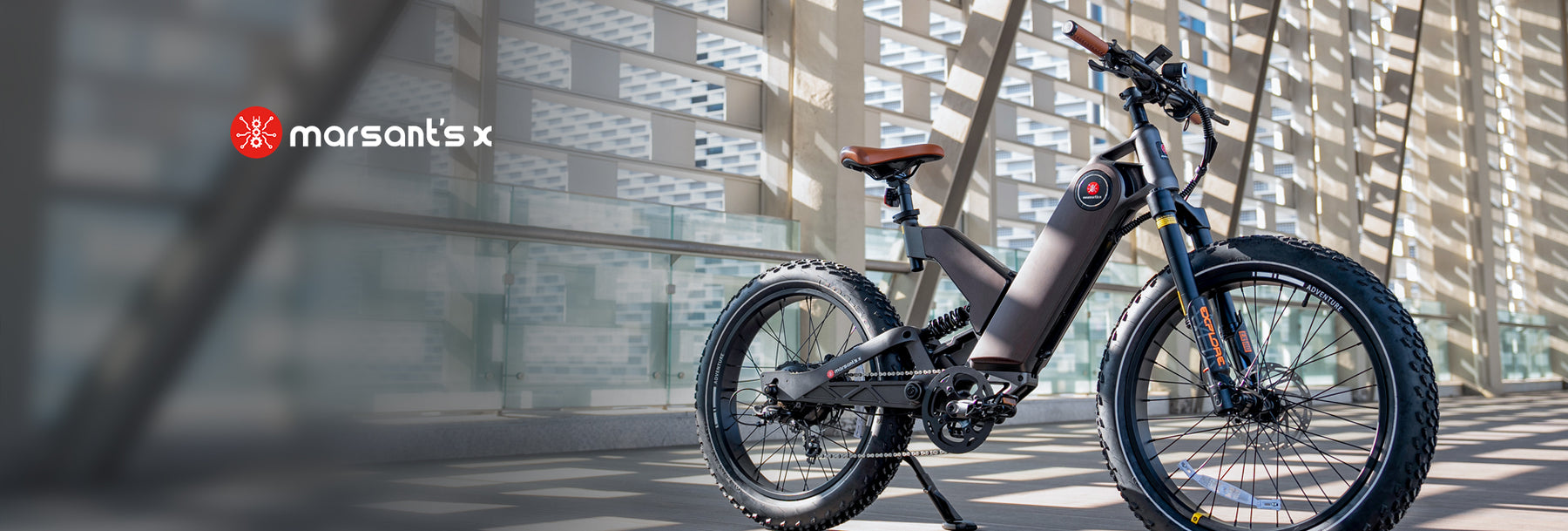 marsant's x ANT5 Long Range Electric Bike